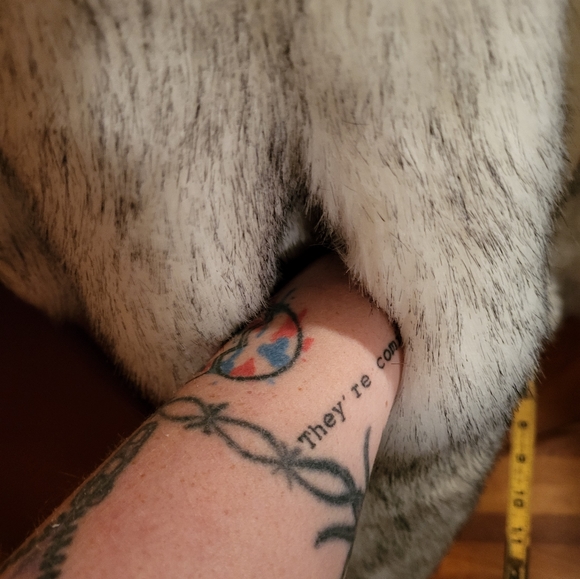 SOLD - Picture 7 of 7